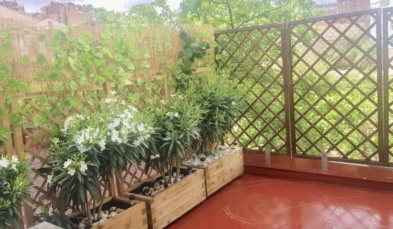 Apartamento San Quirce - Centrico Y Reformado- Wifi Y Netflix Valladolid Exterior foto